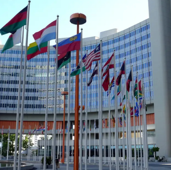 A line of country flags